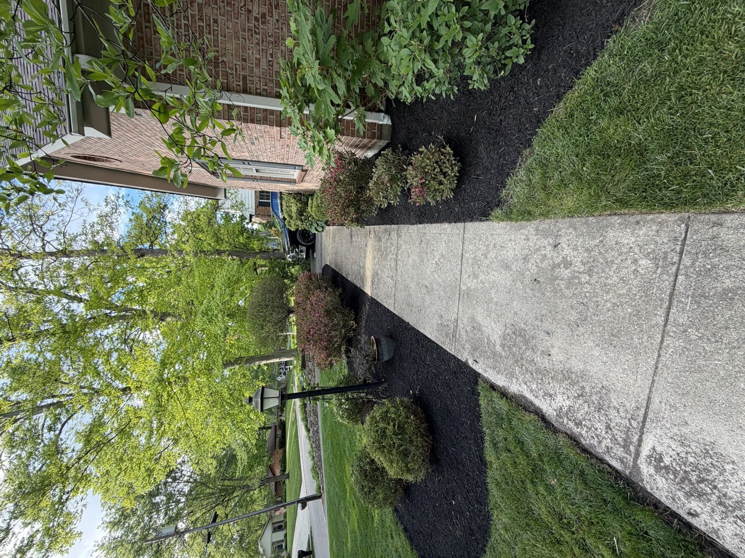 Freshly maintained foundation landscape beds beside a residential walkway