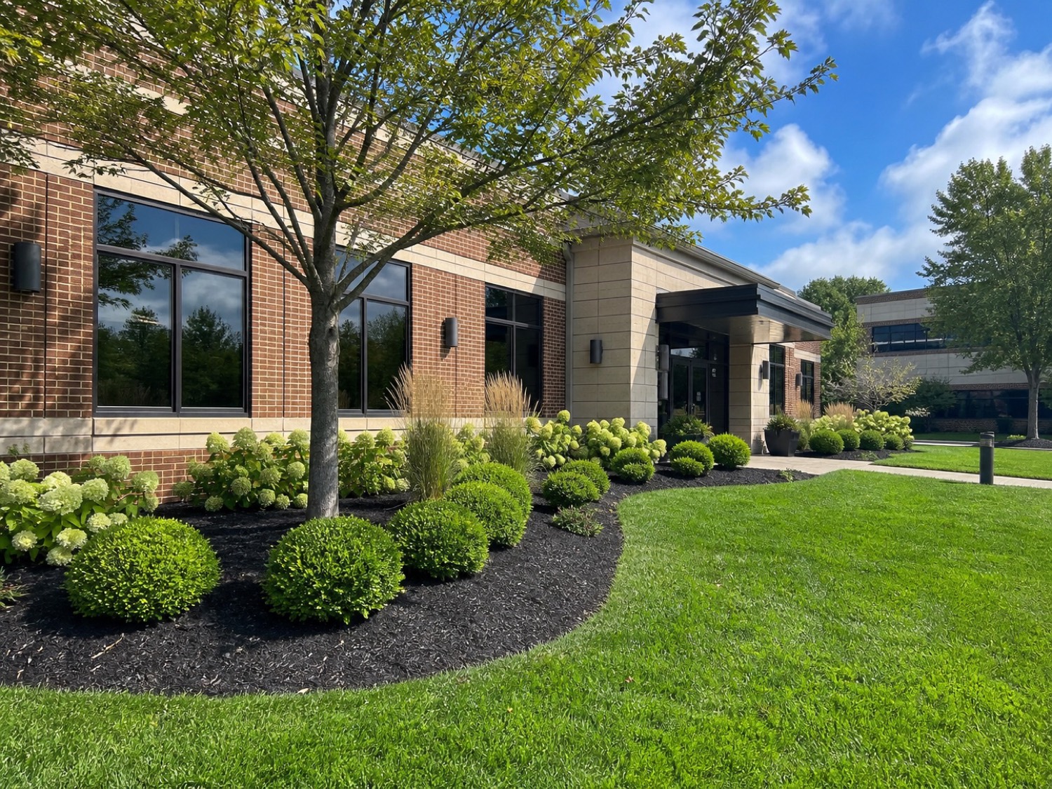 Clean, professional frontage landscape example for Florence properties